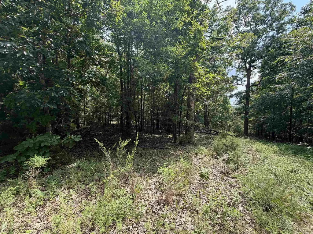 00 Blackfoot Drive, Cherokee Village