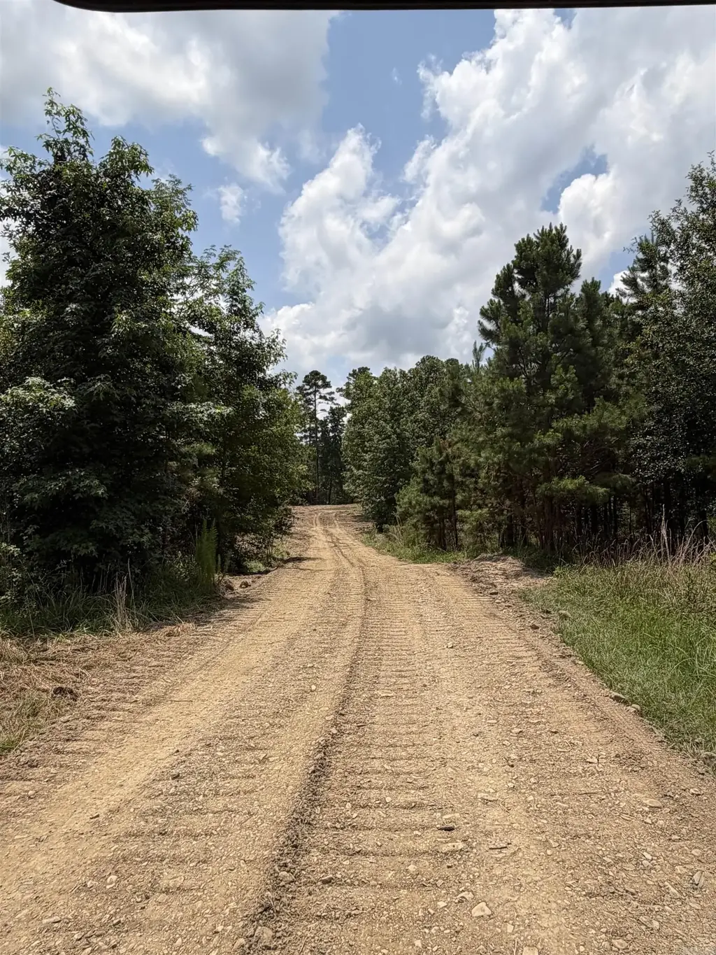 Tbd Easement Road Off Polk Road 31, Cove