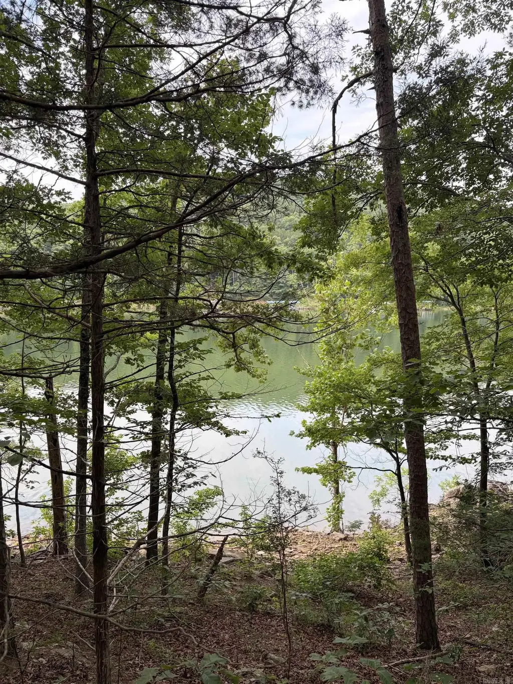 Bear Mountain Rd., Prim