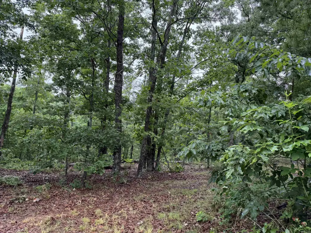 Off Of Morgan Cave Road, Harrison