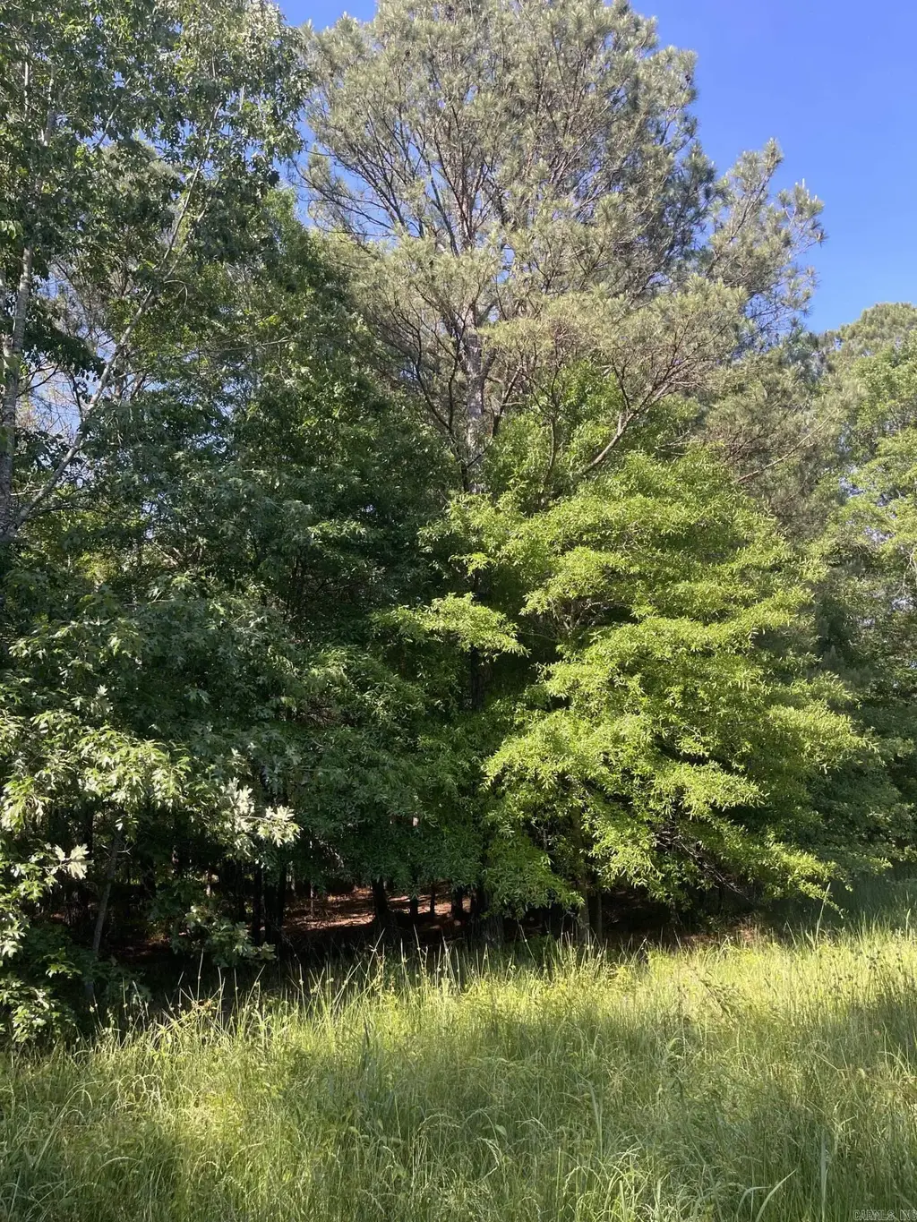 4410 Columbia Rd 36 Road, Magnolia