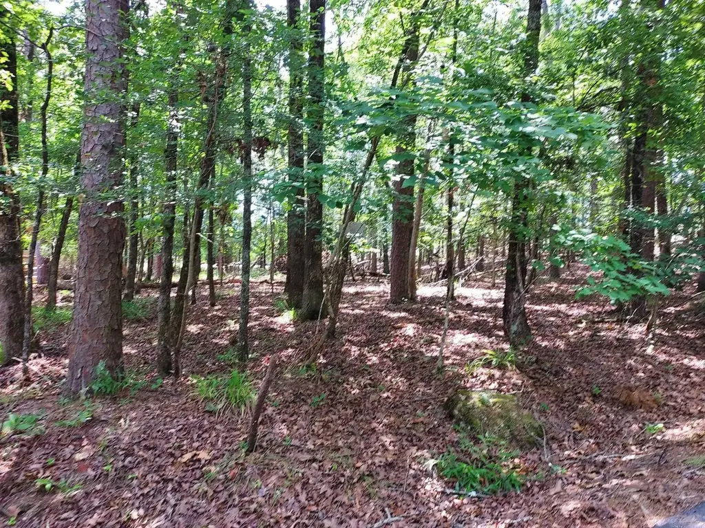 8 Villano Lane, Hot Springs Village