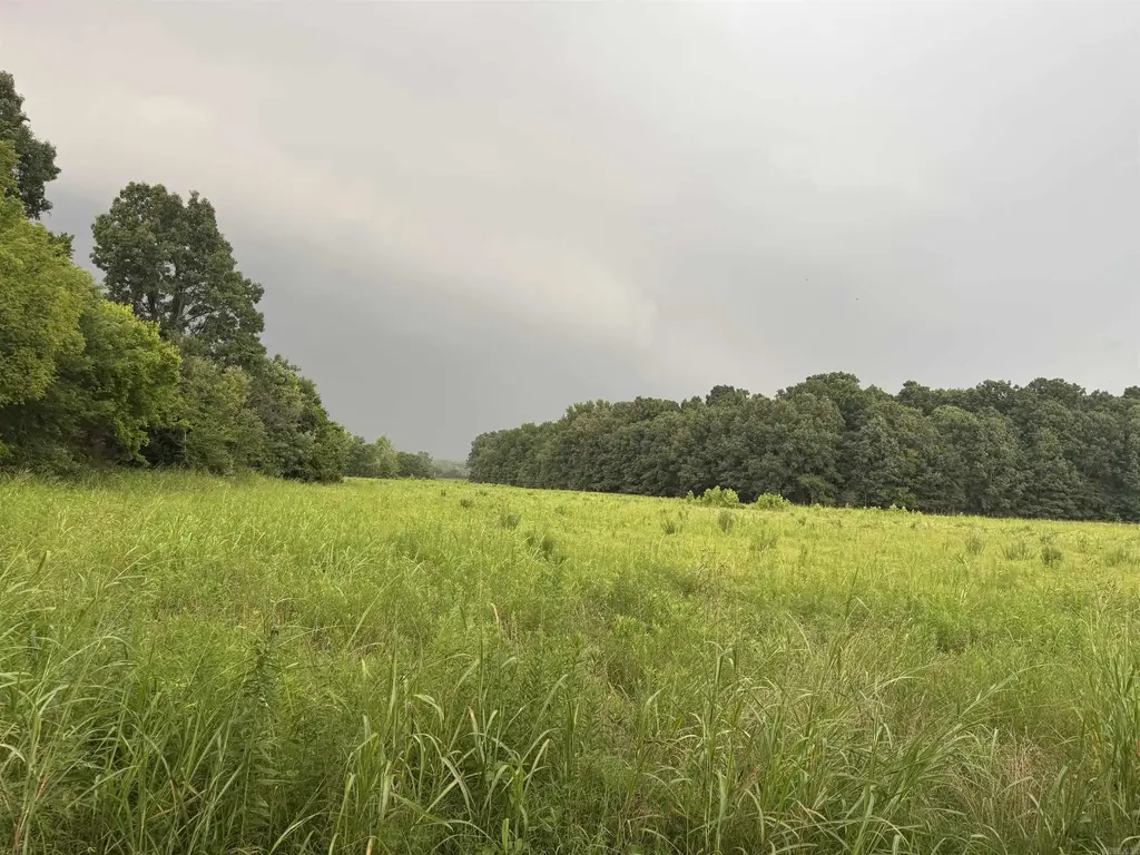 000 County Road 352, Piggott