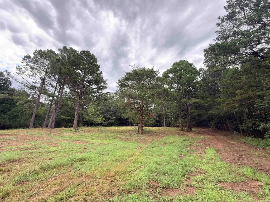 3938 County Road 3631, Lamar