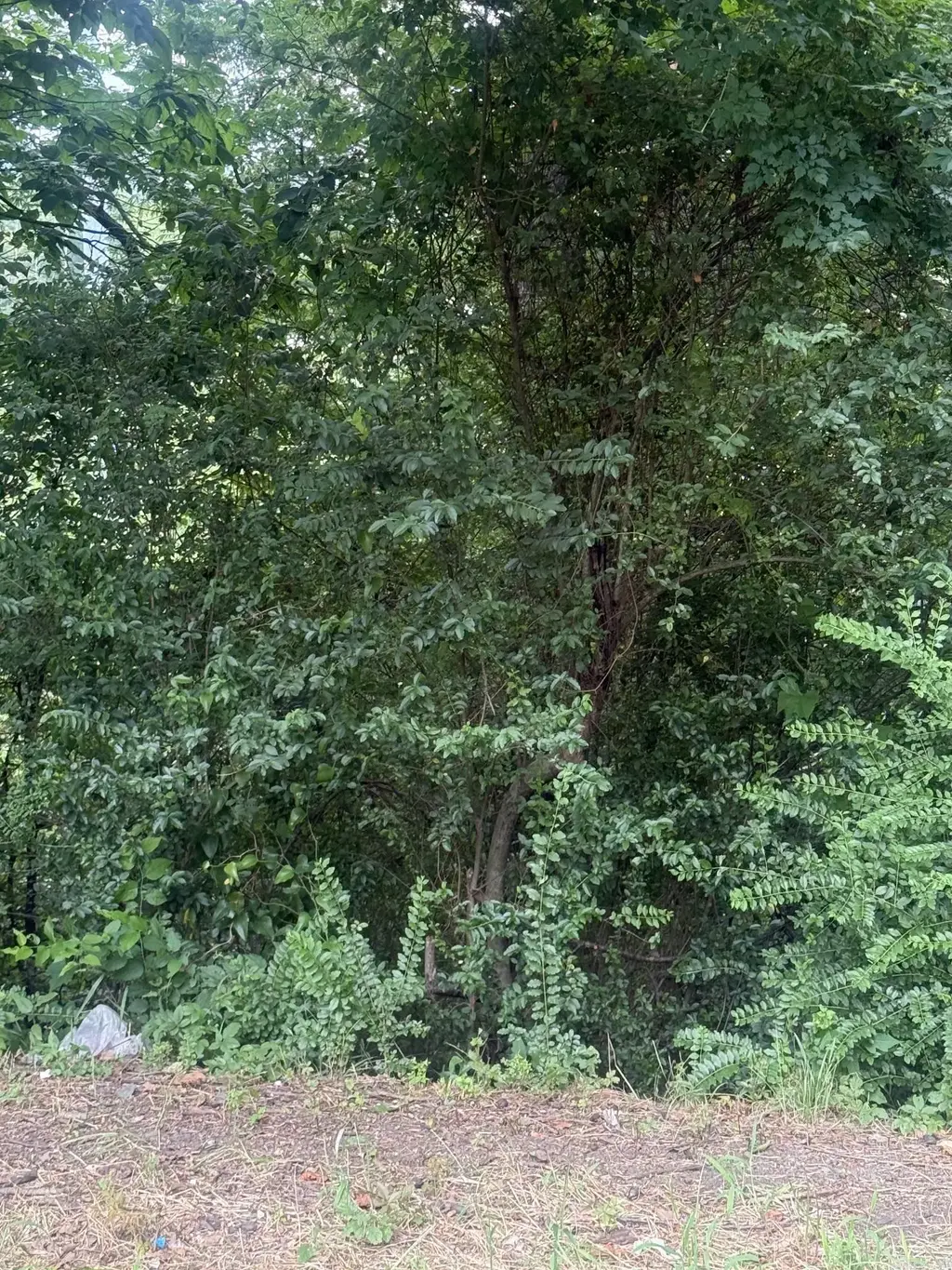Lot 6 And 7 Amber Lane, North Little Rock