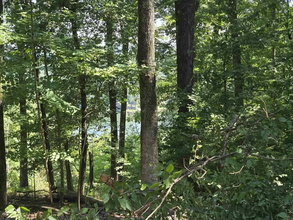 Lot 231 & 232 Medinah, Hot Springs