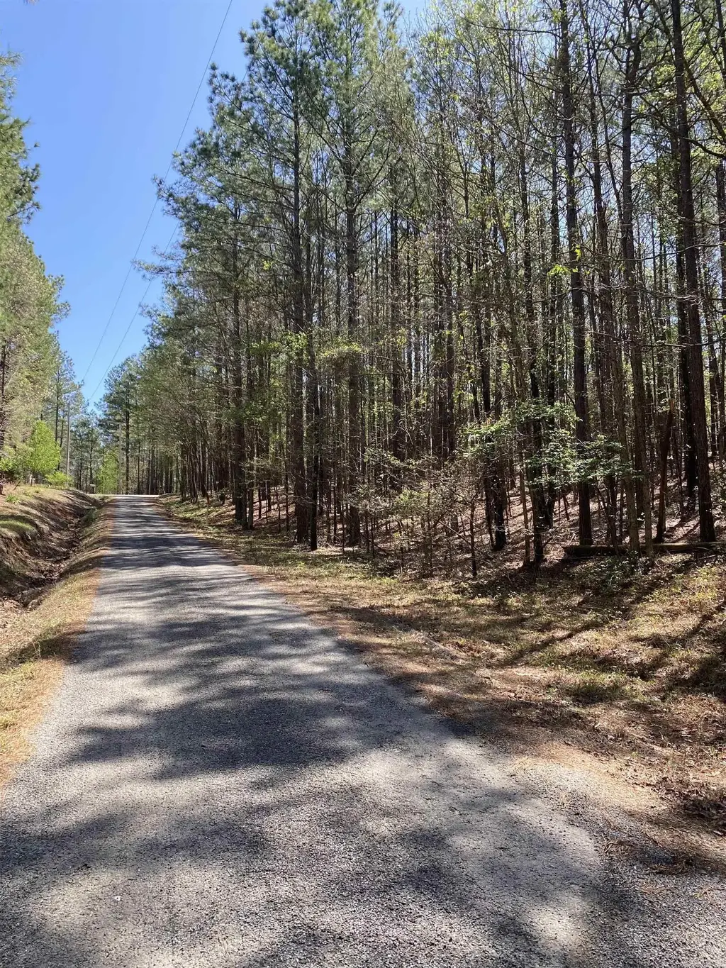 87 Woodland Springs Road, Mount Ida