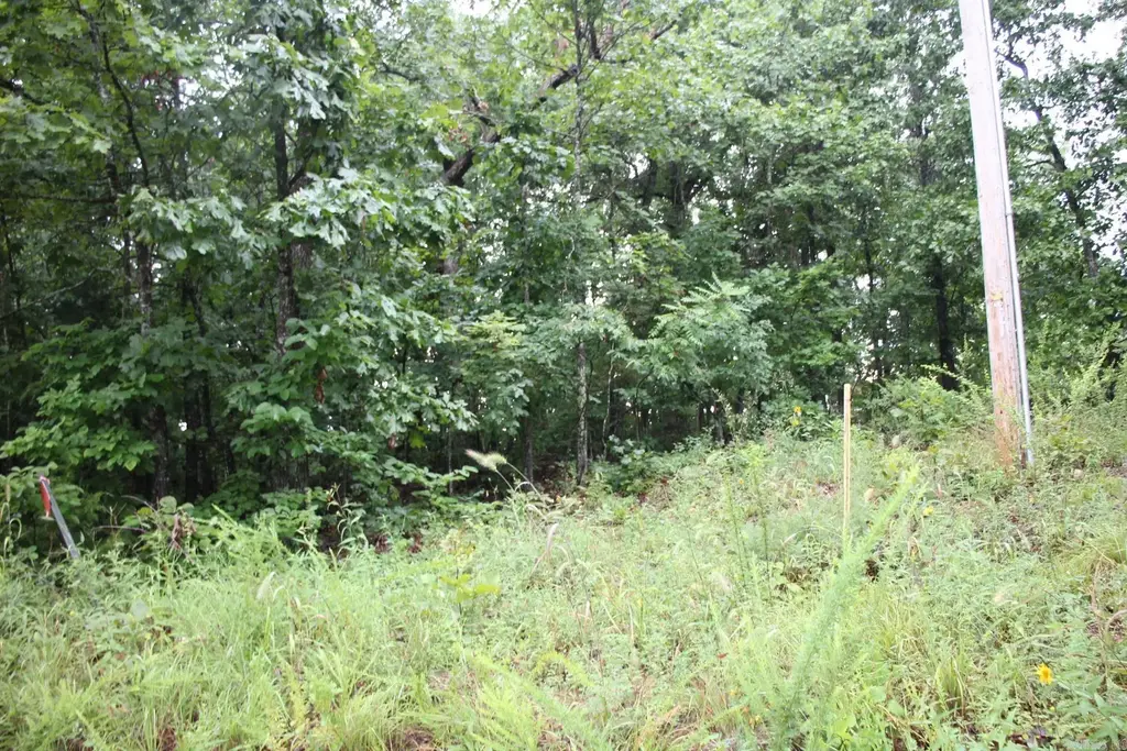 Green Forest Trail, Mountain Home