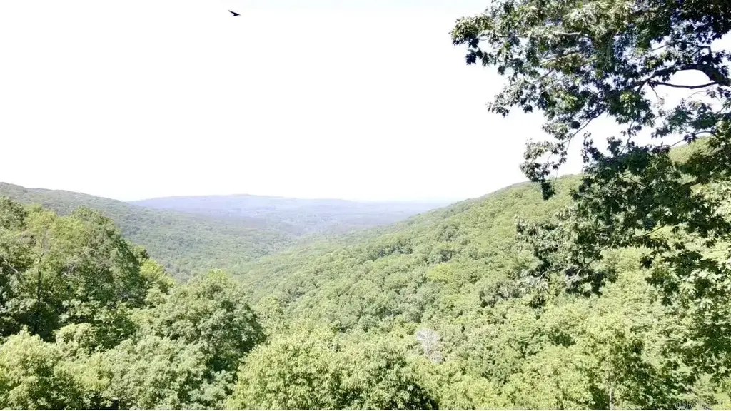 5800 White Oak Mountain Road, Hector