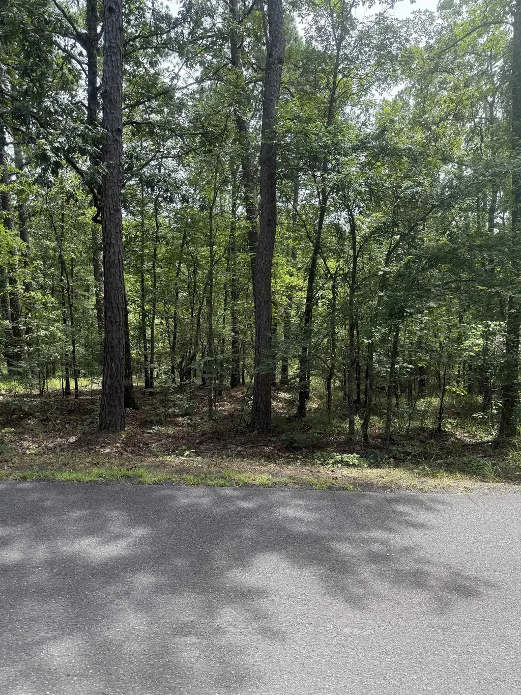 14 Ola Way, Hot Springs Village