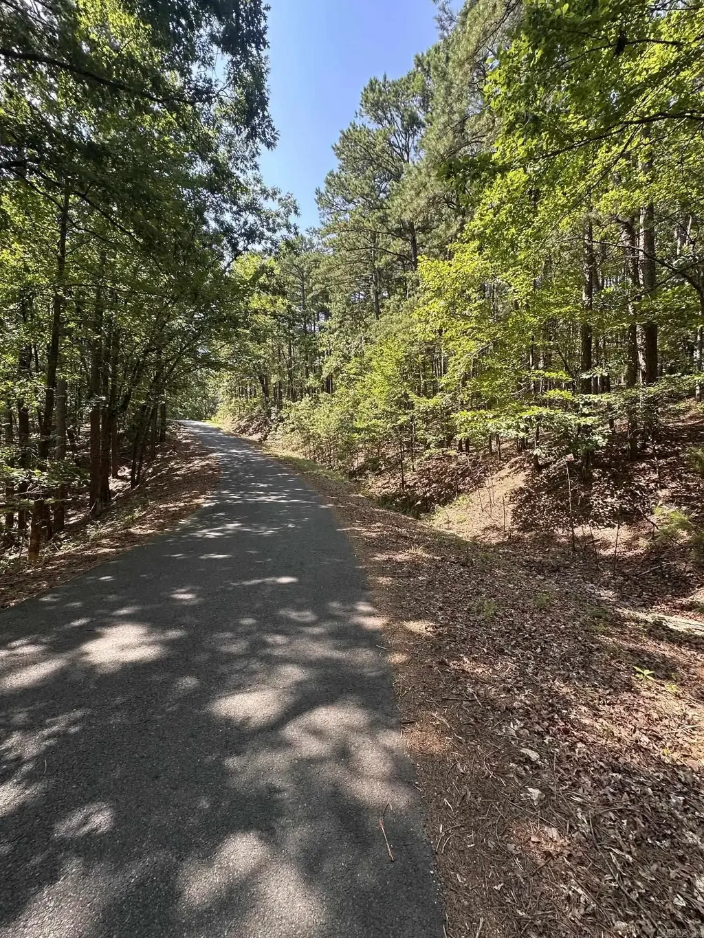 89 Gerante Way, Hot Springs Village