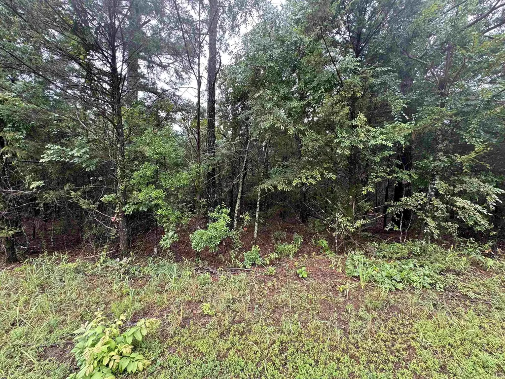 000 Mitchell Road, Booneville