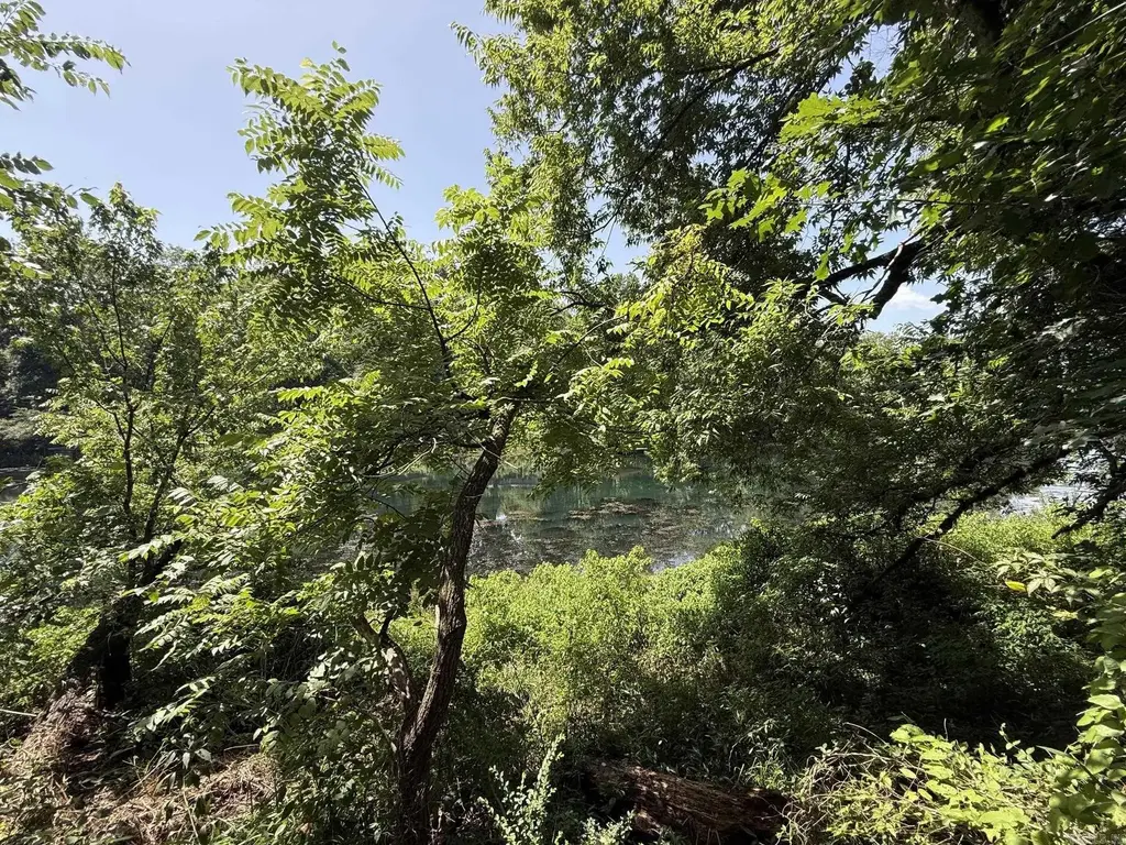 Lot 41 Up River, Heber Springs