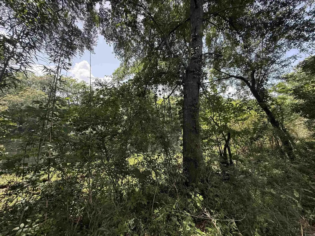 Lot 62 Down River, Heber Springs