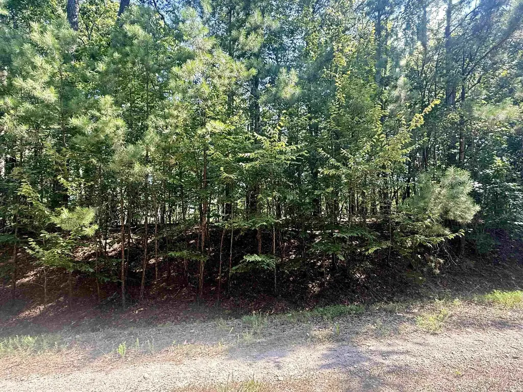 Lot 11 Fenix Way, Hot Springs Village