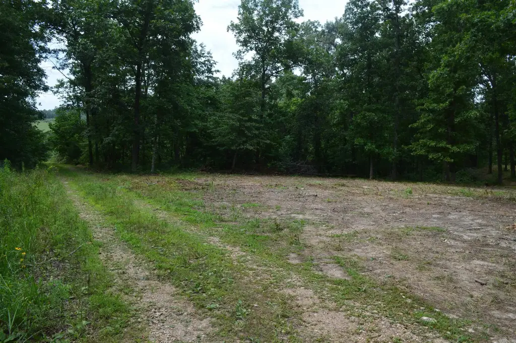 595 Lancaster Drive, Fifty-Six