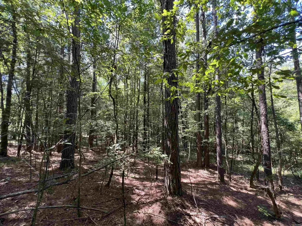 000 Davidson Campground Rd, Okolona