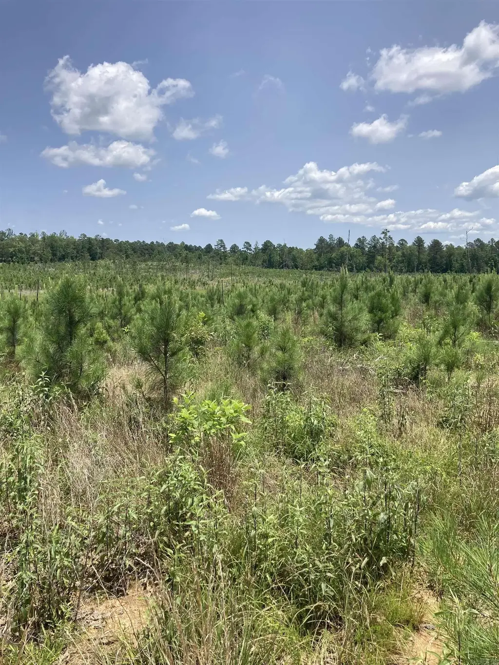 1414 Block Of Newkirk Circle, Jessieville