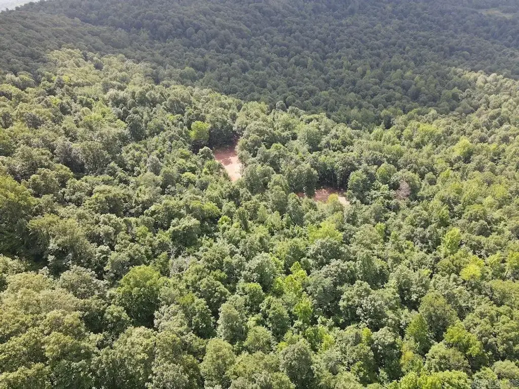 Cr5, Witt Springs
