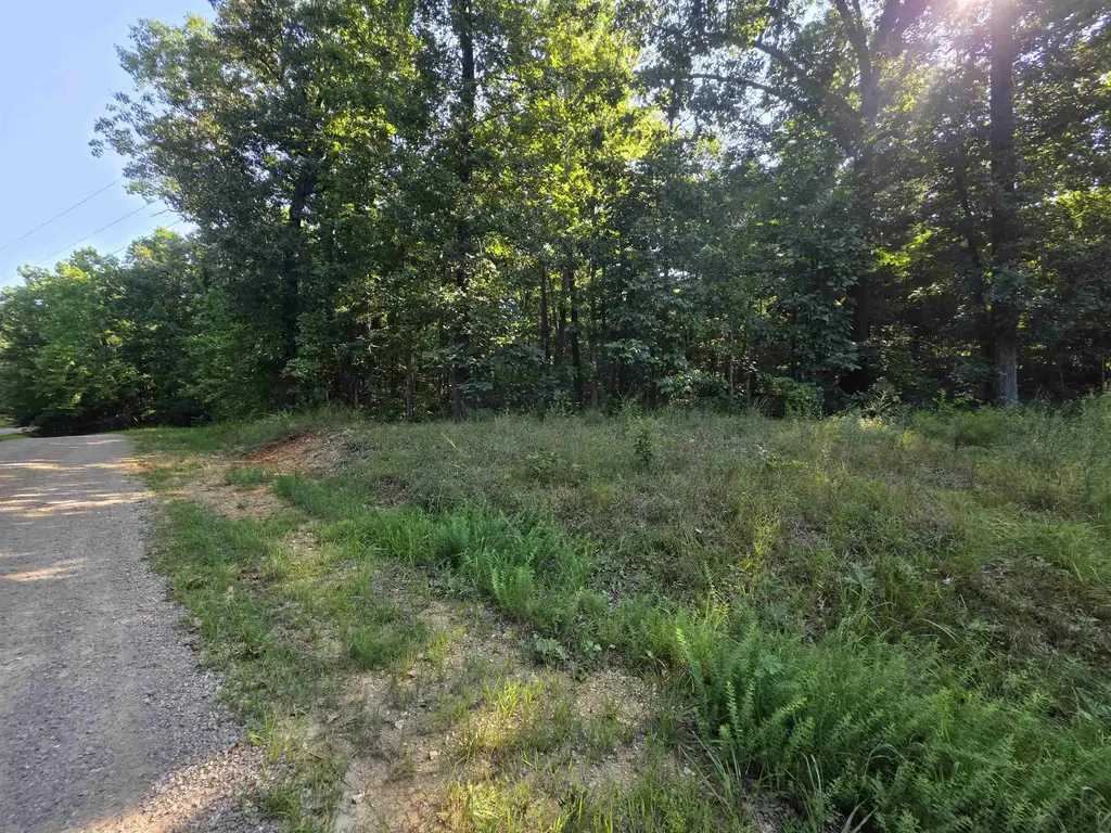 L1b7 E Lakeshore Drive, Ozark Acres