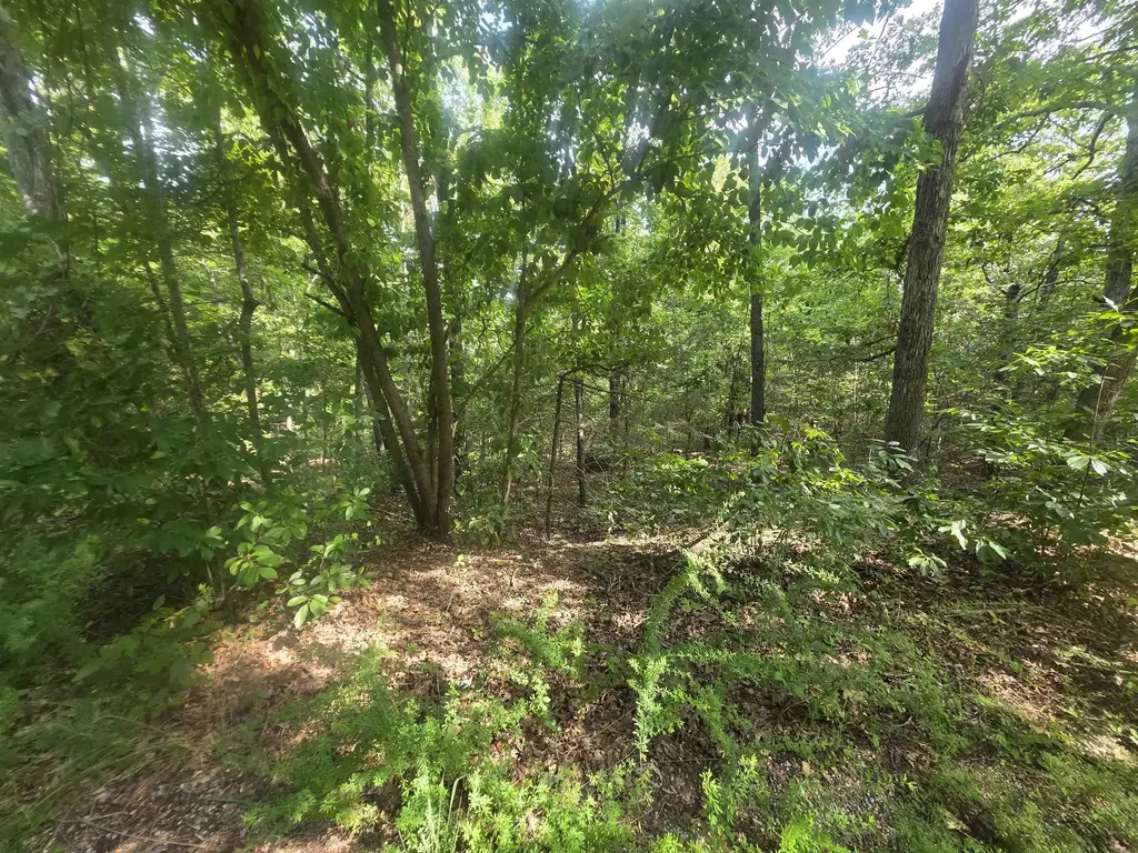 L10b4 Anadarko Drive, Cherokee Village