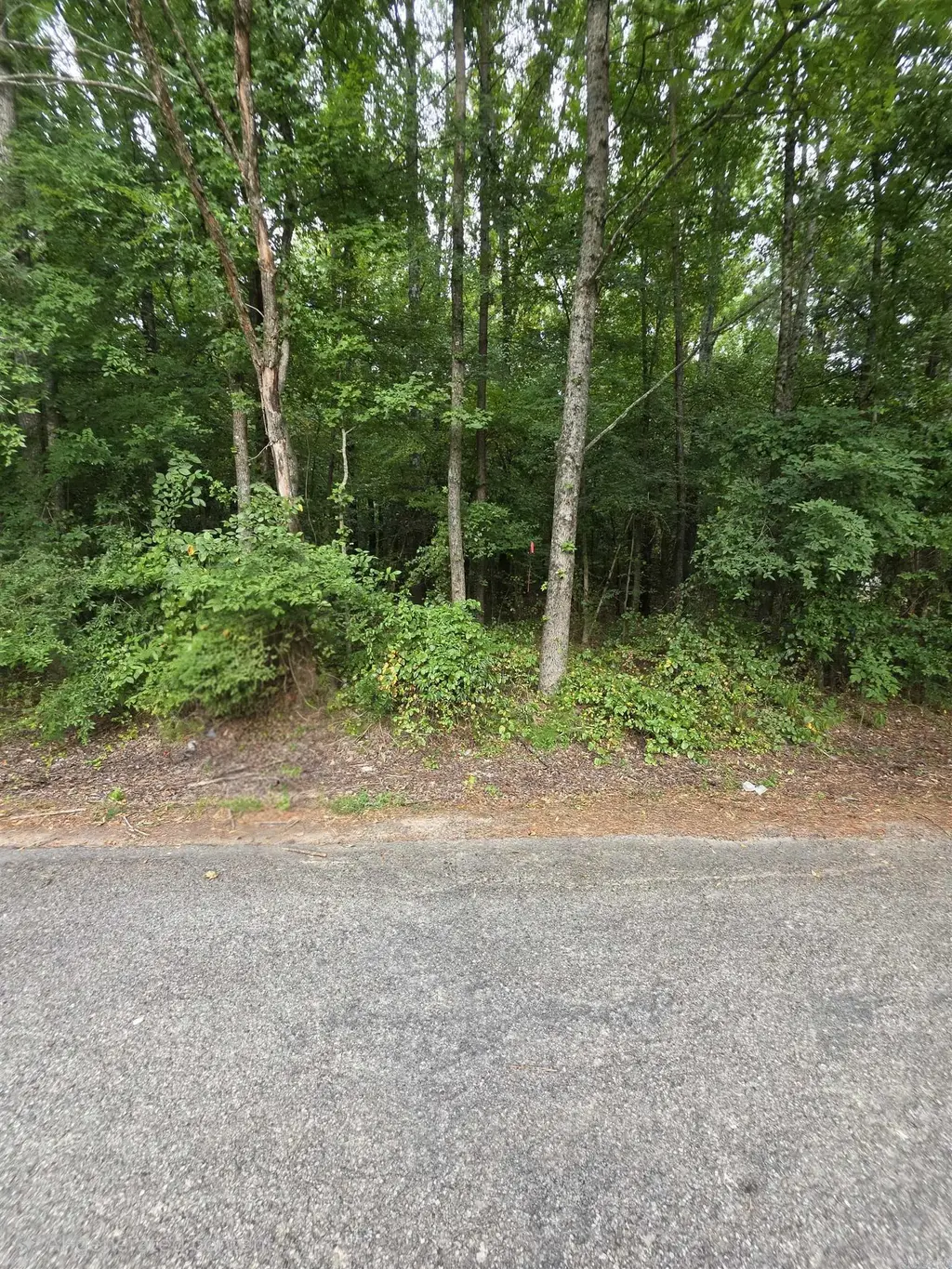 Lot 13 Doniphan, Kensett