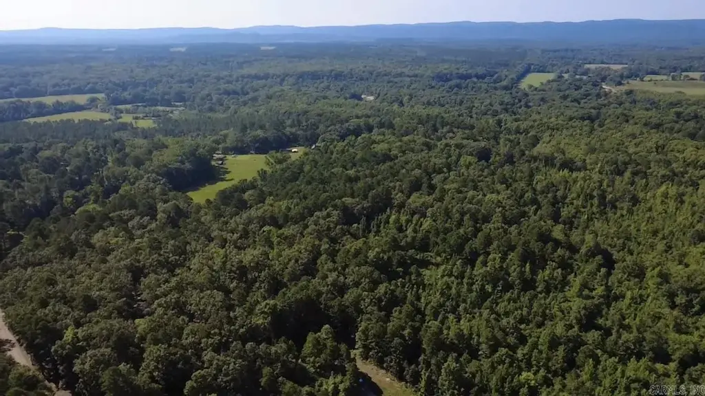 43 Hughbanks Hollow, Story