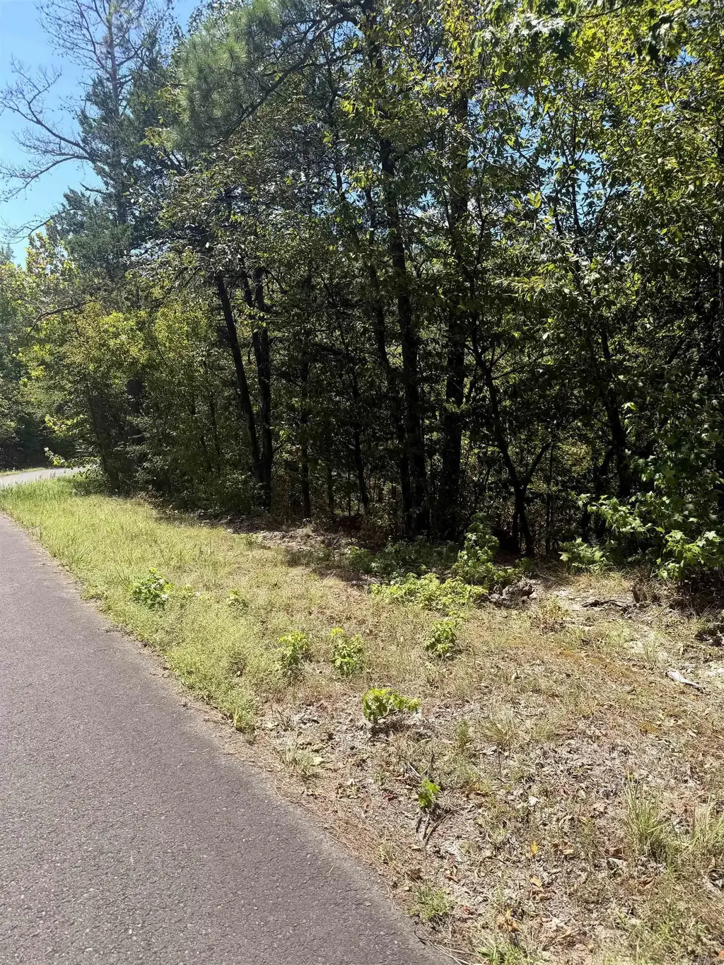 108 Pamplona Way, Hot Springs Village