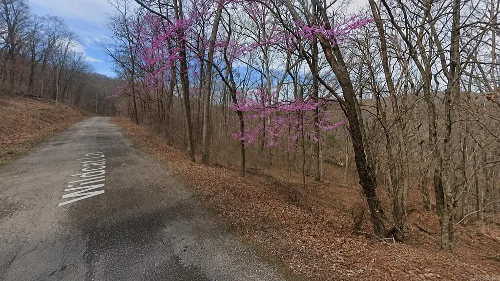 Lot 5 Wildcat Lane, Holiday Island