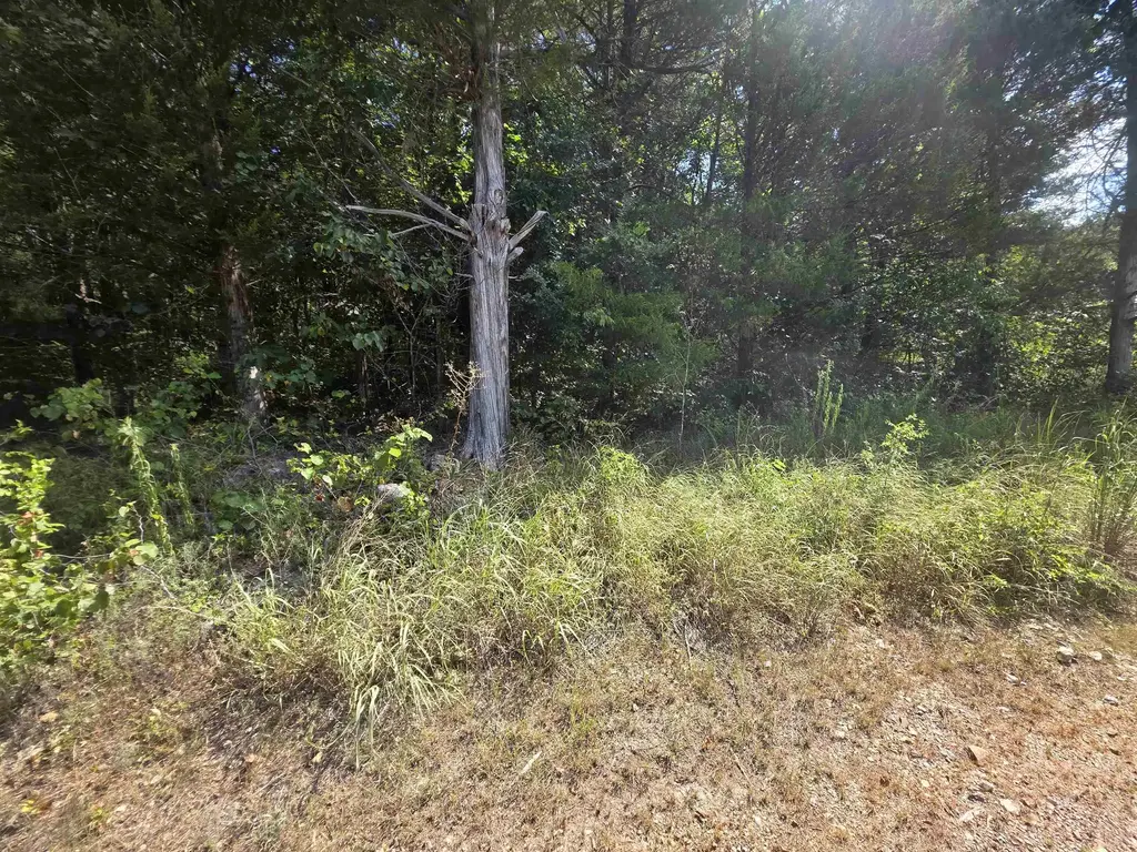 L14b4 Pawnee Drive, Cherokee Village