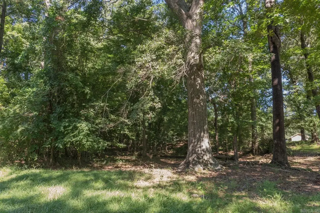 Tbd North Park Drive, Arkadelphia