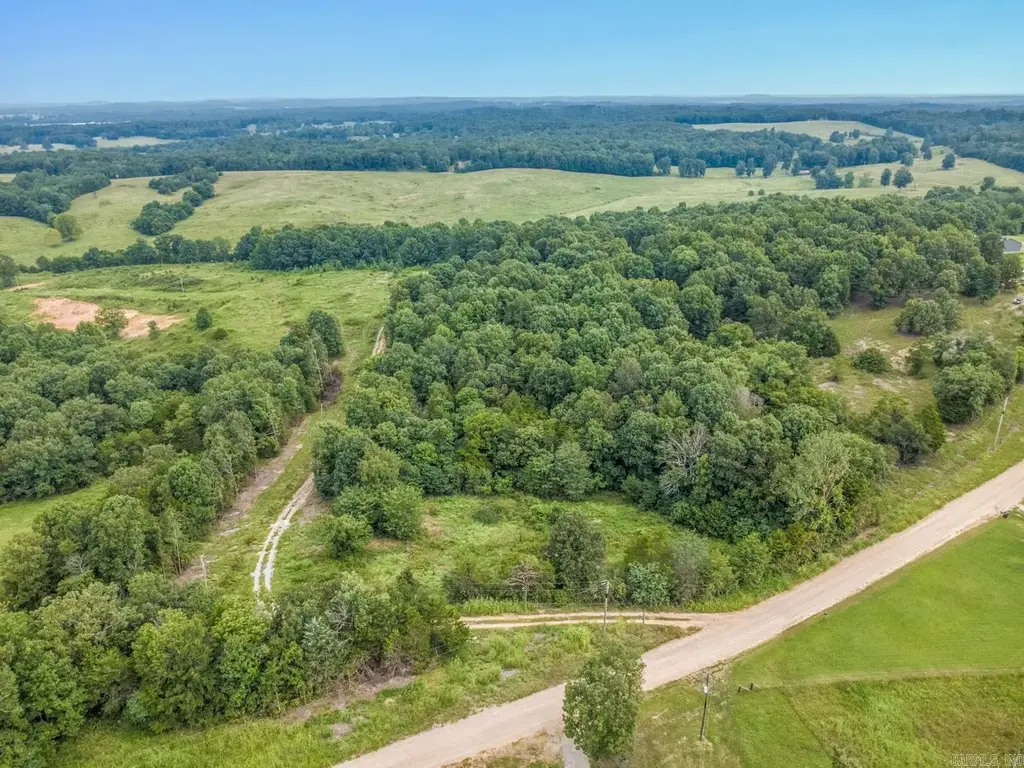 1431 Persimmon Pond Road, Pocahontas
