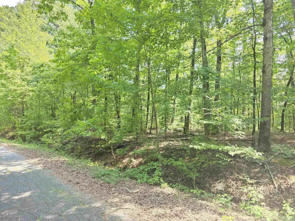 153 Raso Way, Hot Springs Village