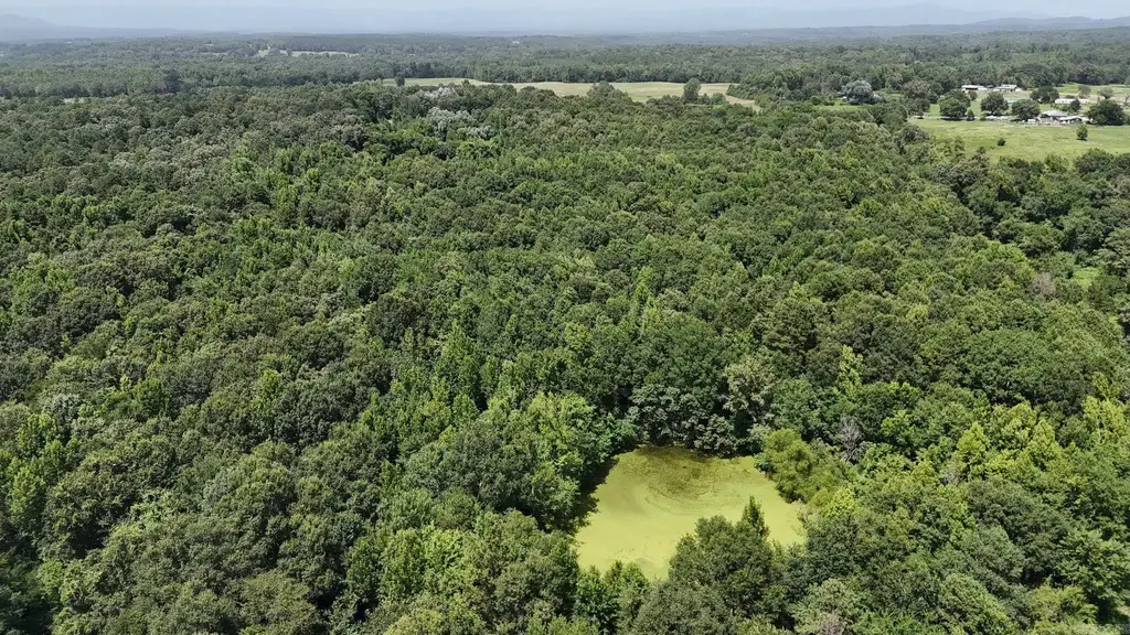 Tbd Polk Road 283, Hatfield