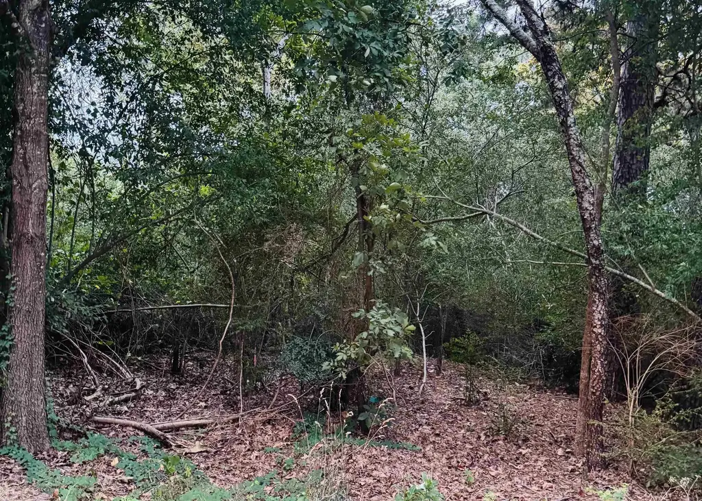Lot 26 Lee Summit Dr., Little Rock