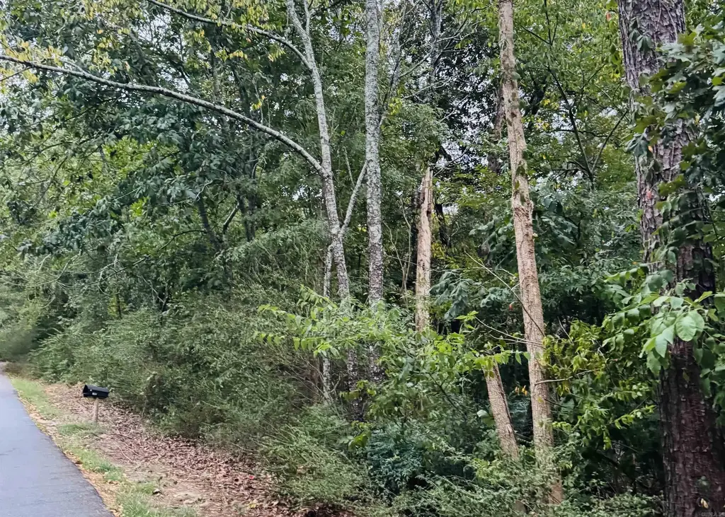 Lot 25 Lee Summit  Dr., Little Rock