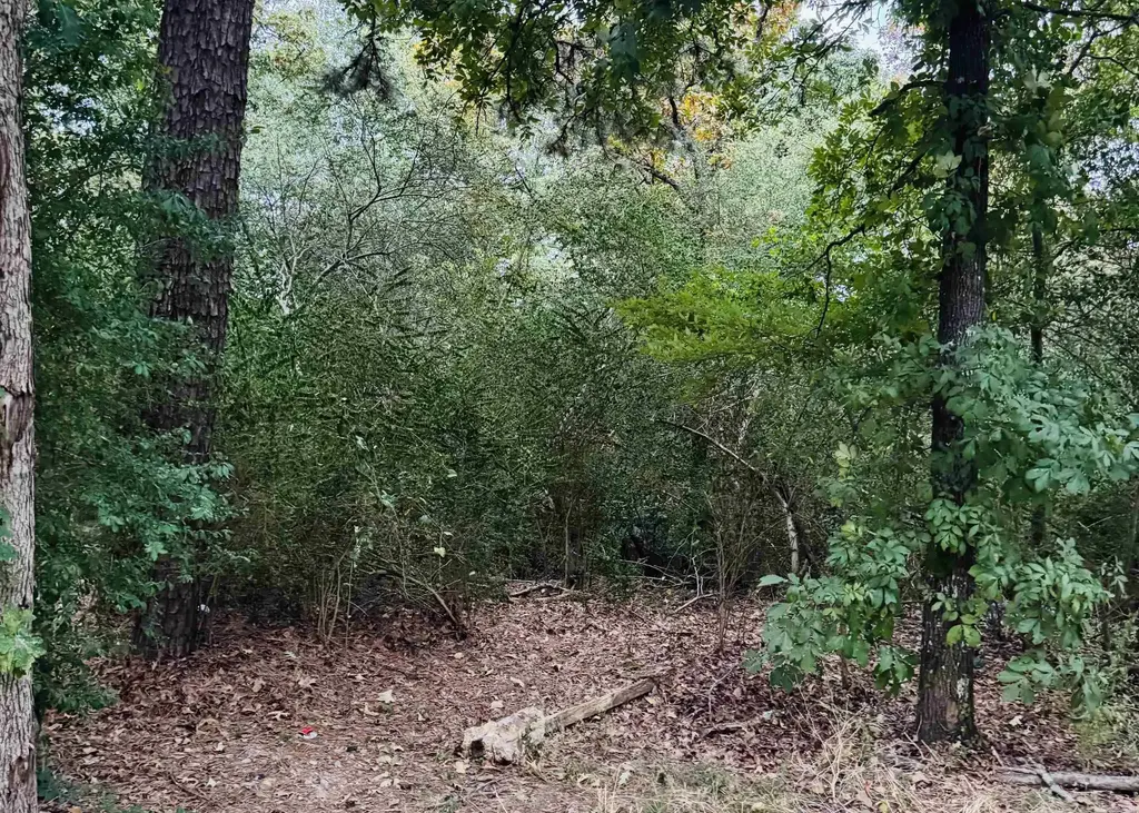 Lot 23 Lee Summit Dr., Little Rock