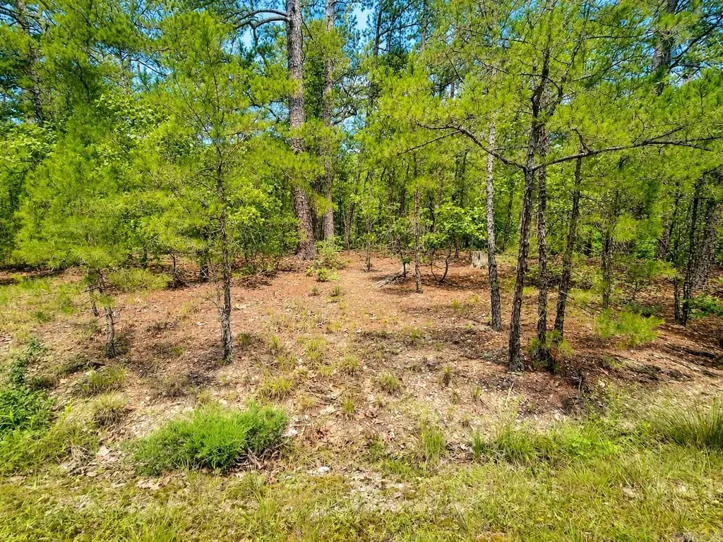 6 Calahorra Circle, Hot Springs Village