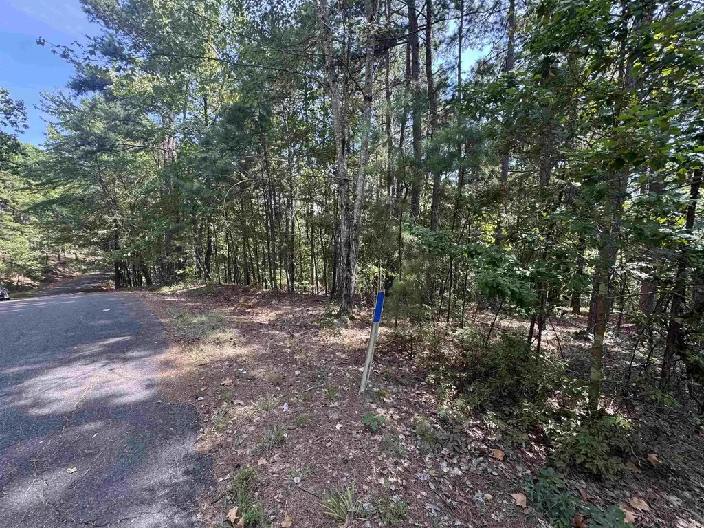 84 Gerante Way, Hot Springs Village
