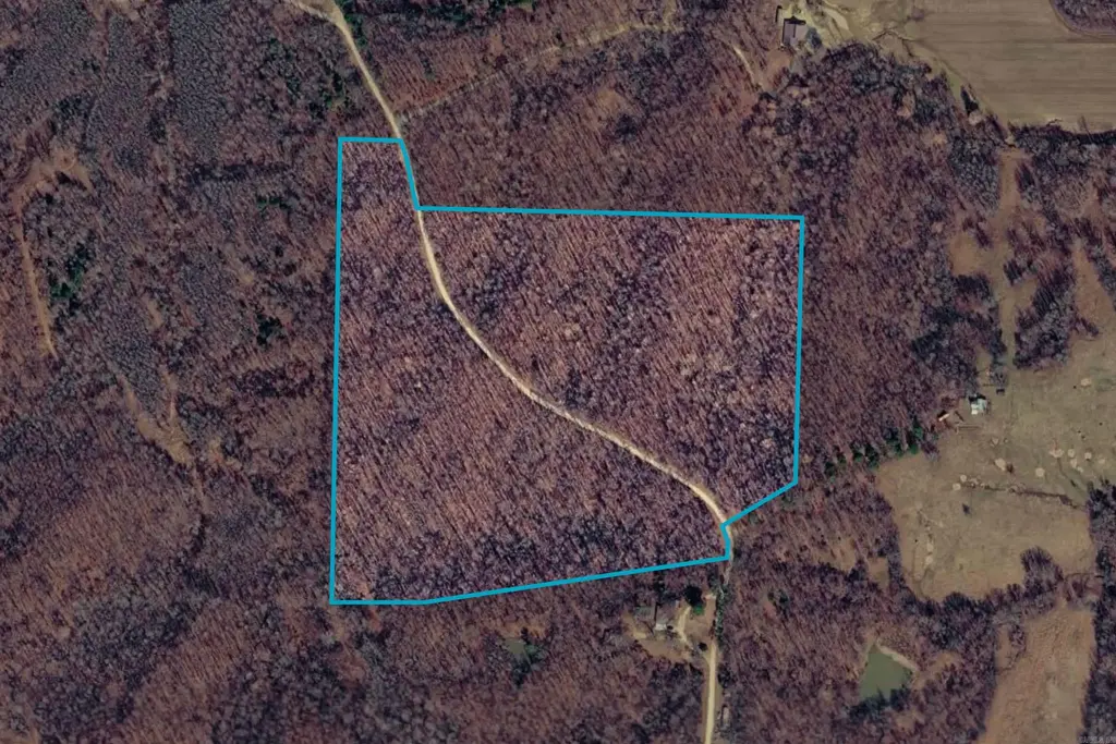 Tract 1 County 408 Road, Lafe