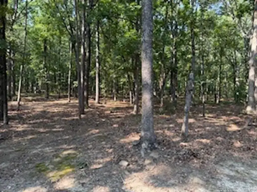 5.0 Acres 24 Oak Ct And Tracy Ann Terrace, Greers Ferry