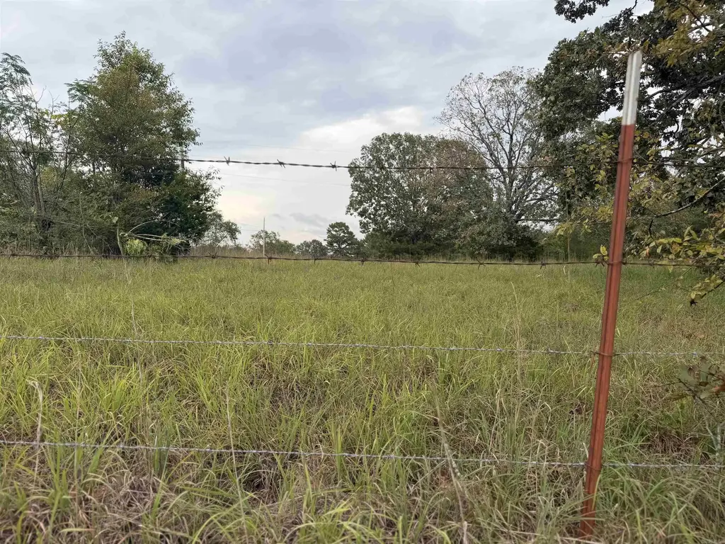 2426 Cataberry Run Rd, Ozark