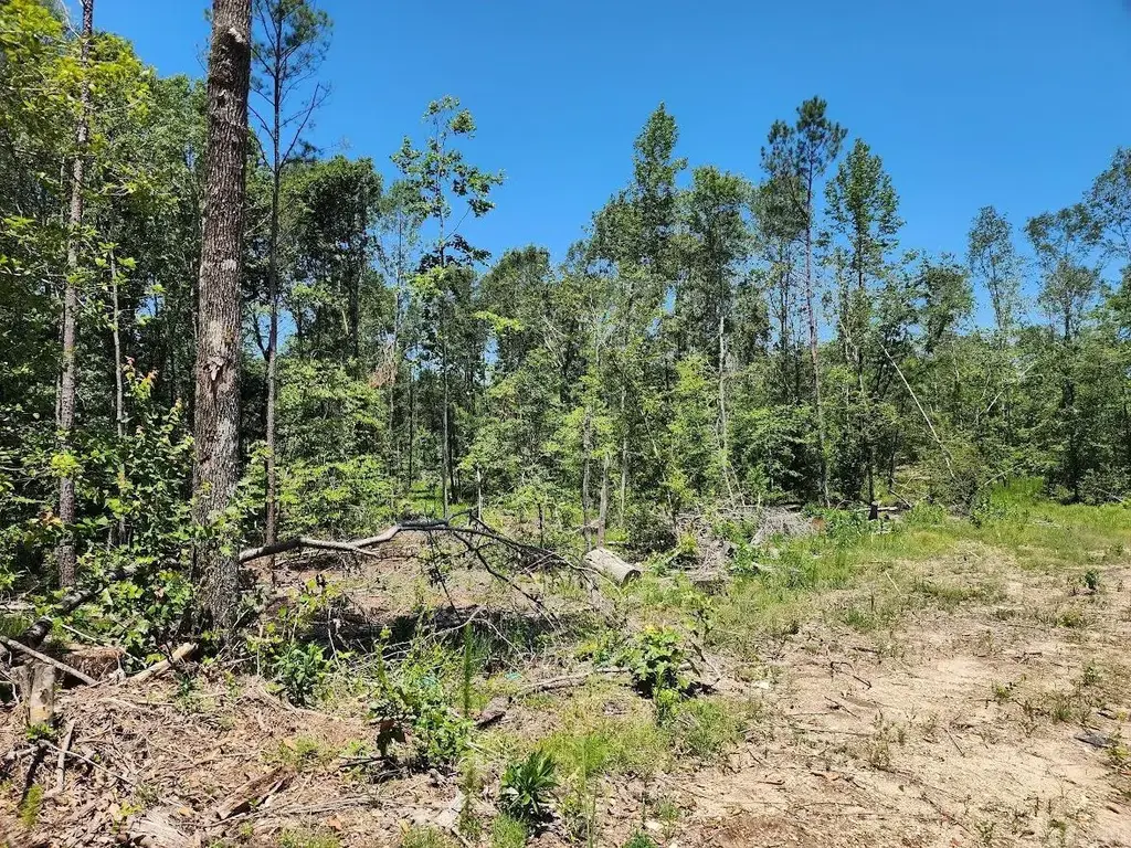 West 16.9 Acres On Hwy 82 E, El Dorado