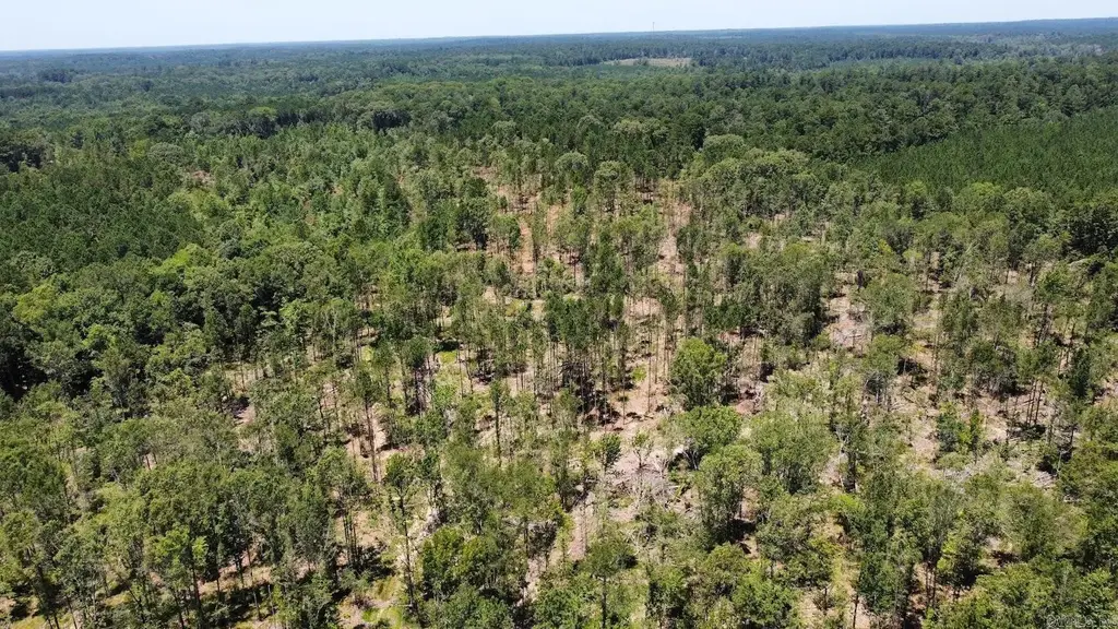 East 16.9 Ac On Hwy 82 E, El Dorado