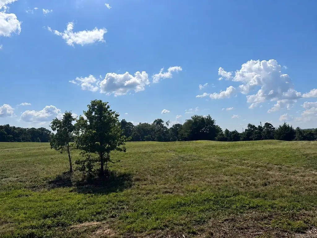 Tract 3 Louie Pruitt Rd., Beebe
