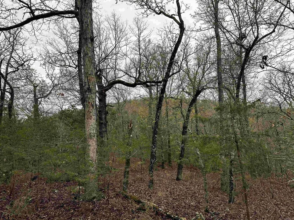 001-00447-000 Mc 6037, Yellville