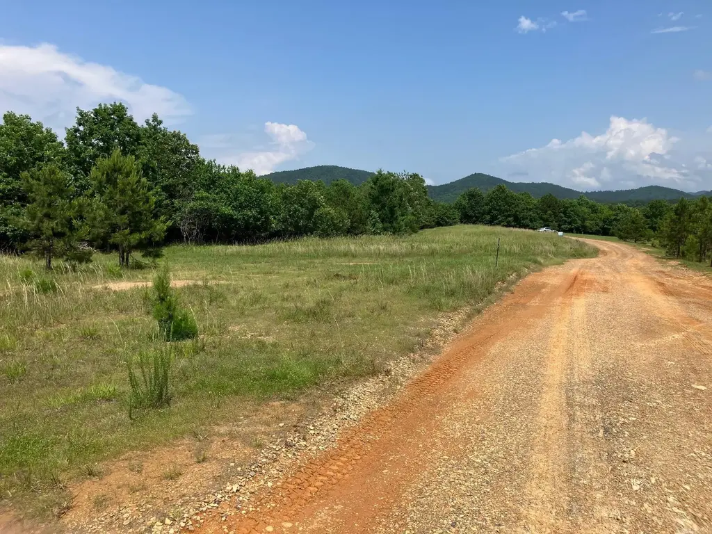 Tbd Tract 4 Thompson Creek Lane Lane, Mena