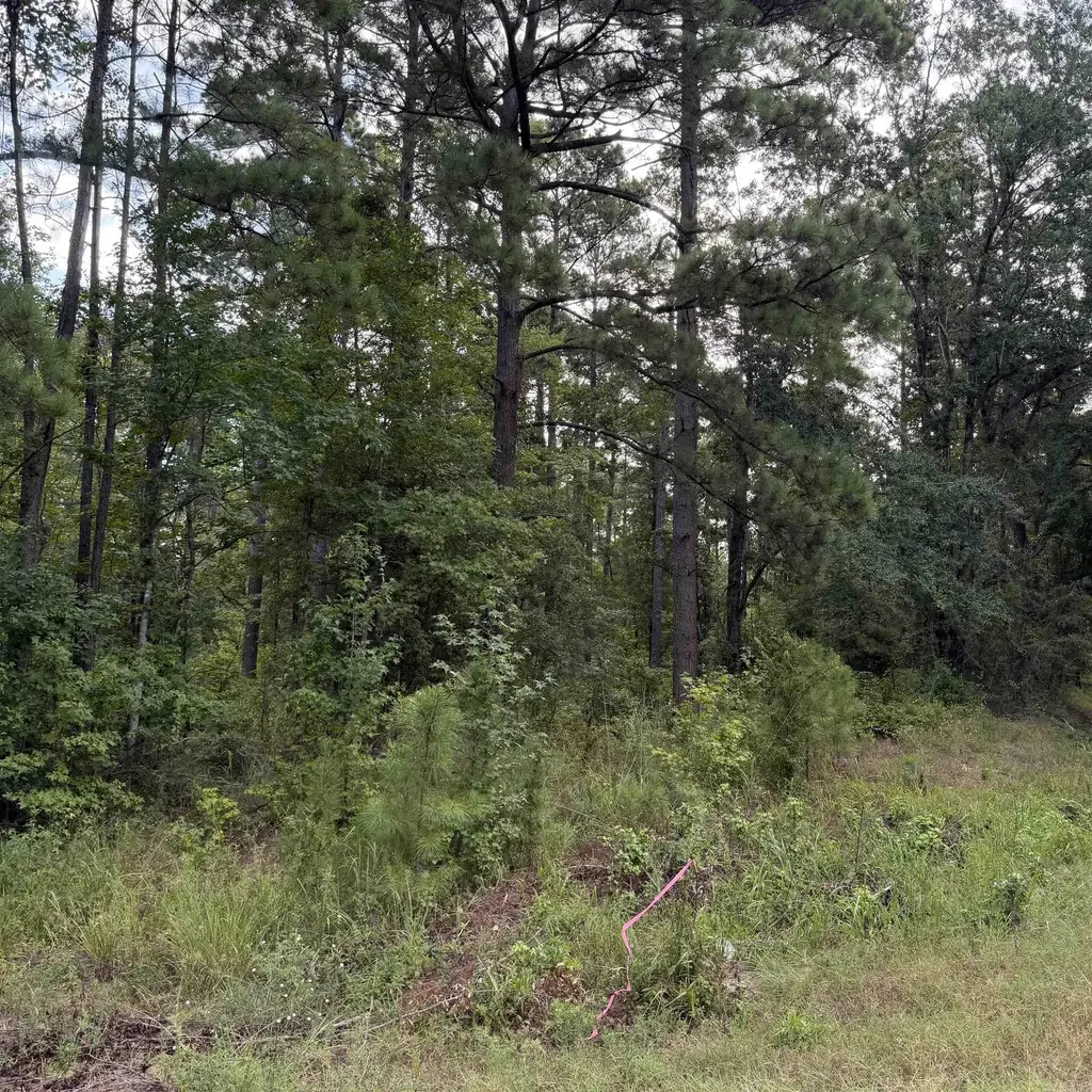 Tract F County Rd 8, Sheridan