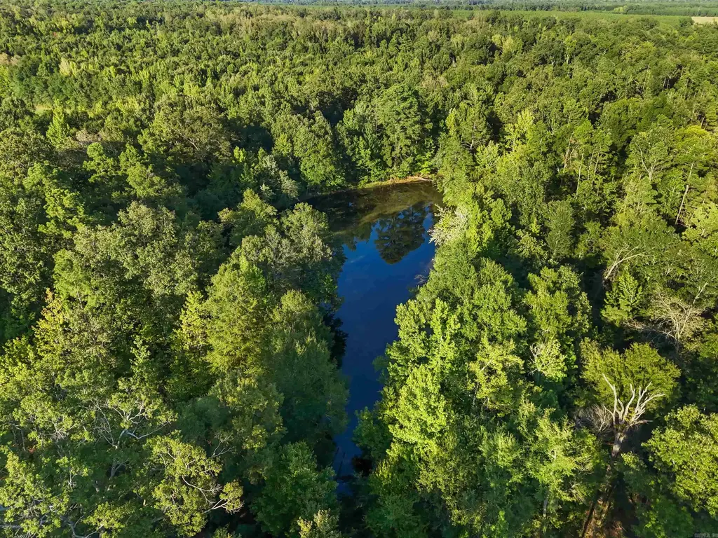 00 Highway 63 And Britt Road, Rison