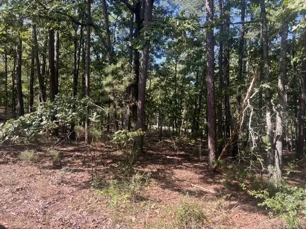 6 Zaragoza Lane, Hot Springs Village